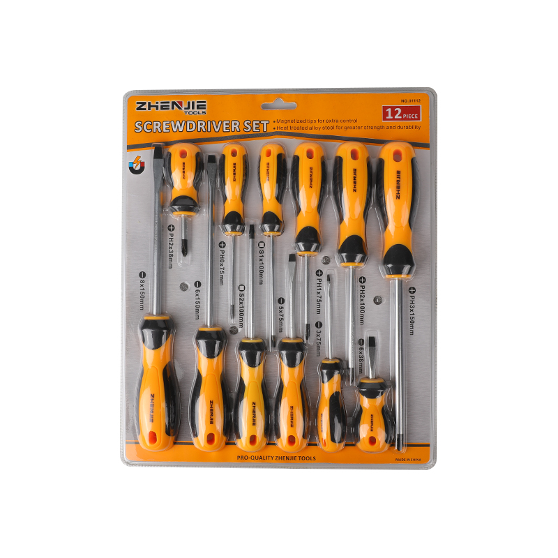 Set di cacciaviti CRV quadrati e a taglio Phillips da 12 pezzi