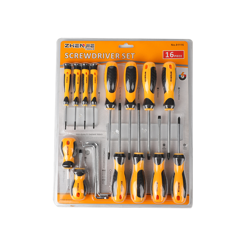 Set di cacciaviti Phillips e Torx da 16 pezzi