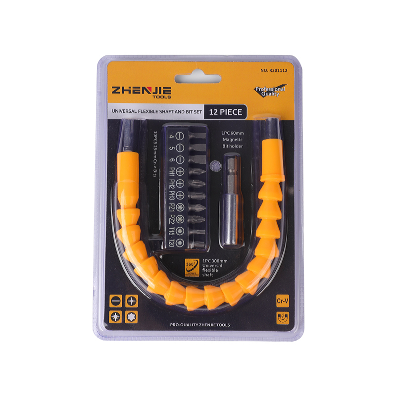 Set di punte e albero flessibile da 12 pezzi