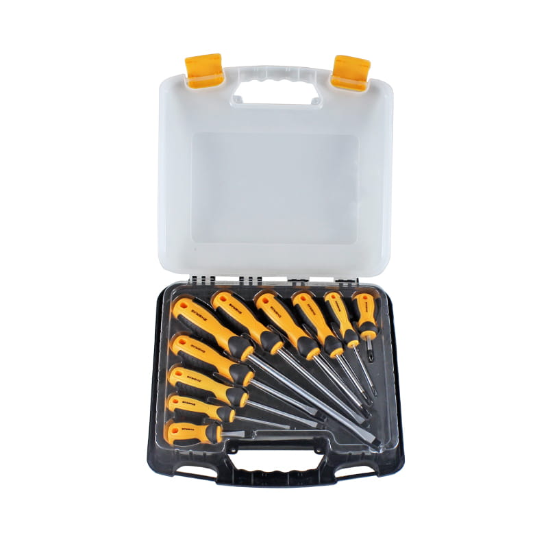 Set di cacciaviti CRV a taglio e Phillips da 10 pezzi in scatola di plastica