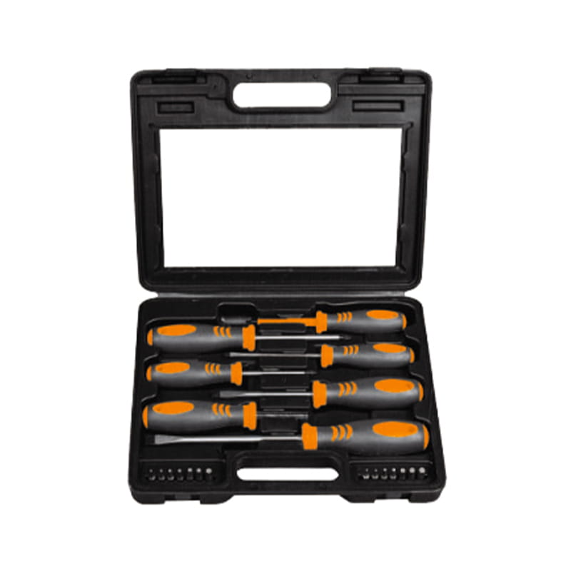 Set di cacciaviti CRV da 21 pezzi BMC Packaging