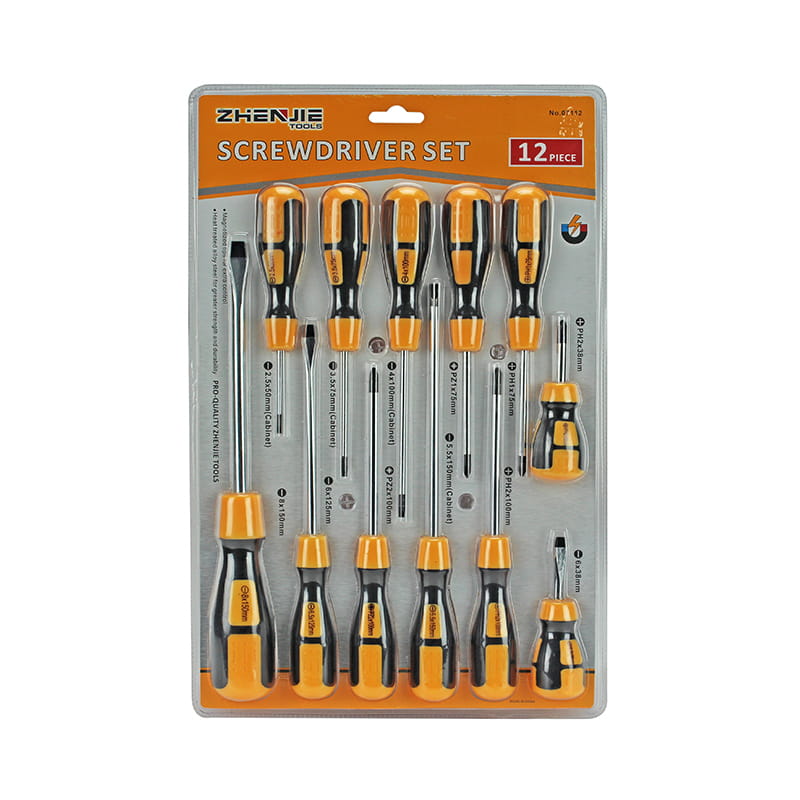 Set di cacciaviti CRV da 12 pezzi
